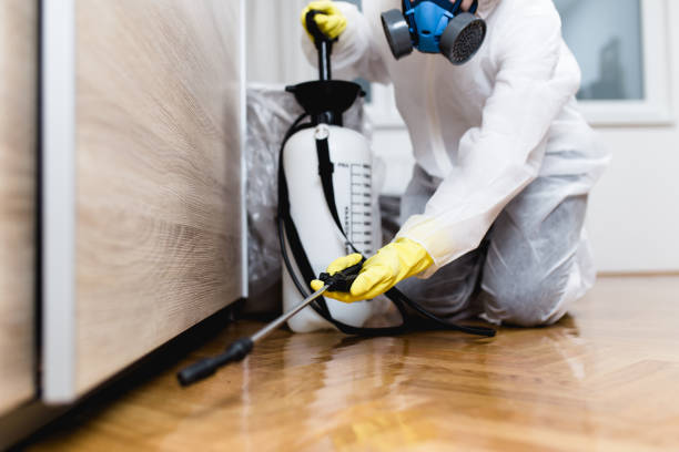 Professional Pest Control in Amelia, OH