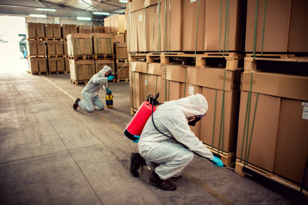 Best Pest Control Treatment  in Amelia, OH