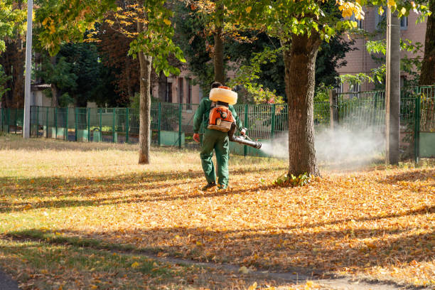Best Rat Extermination Near Me  in Amelia, OH