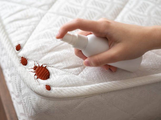 Best Ant Control Services  in Amelia, OH